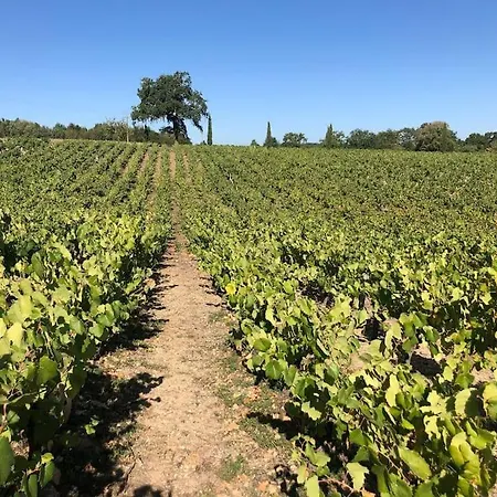 别墅 Gite De Charme Au Coeur Des Vignes *
