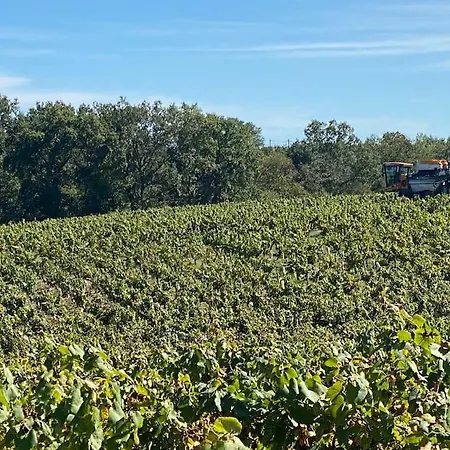 Gite De Charme Au Coeur Des Vignes * Maisdon-sur-Sevre
